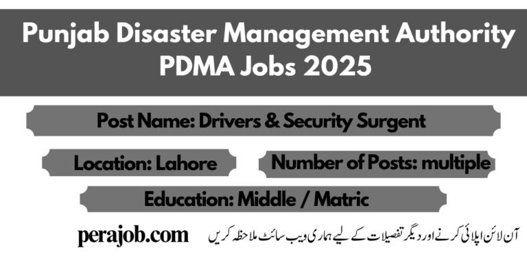Punjab Disaster Management Authority PDMA Jobs 2025
